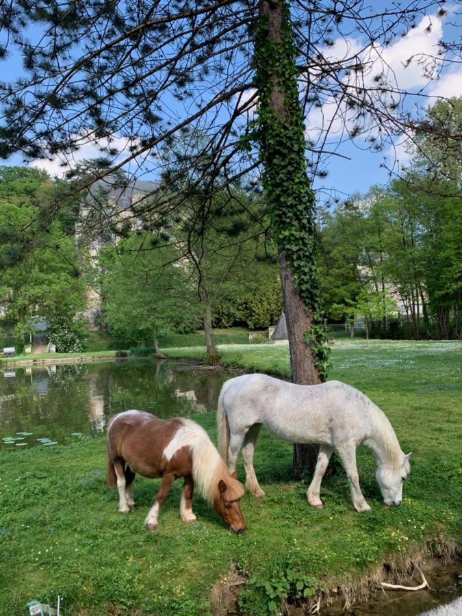 Gite Familial Chateau La Roche Racan Saint-Paterne-Racan Εξωτερικό φωτογραφία